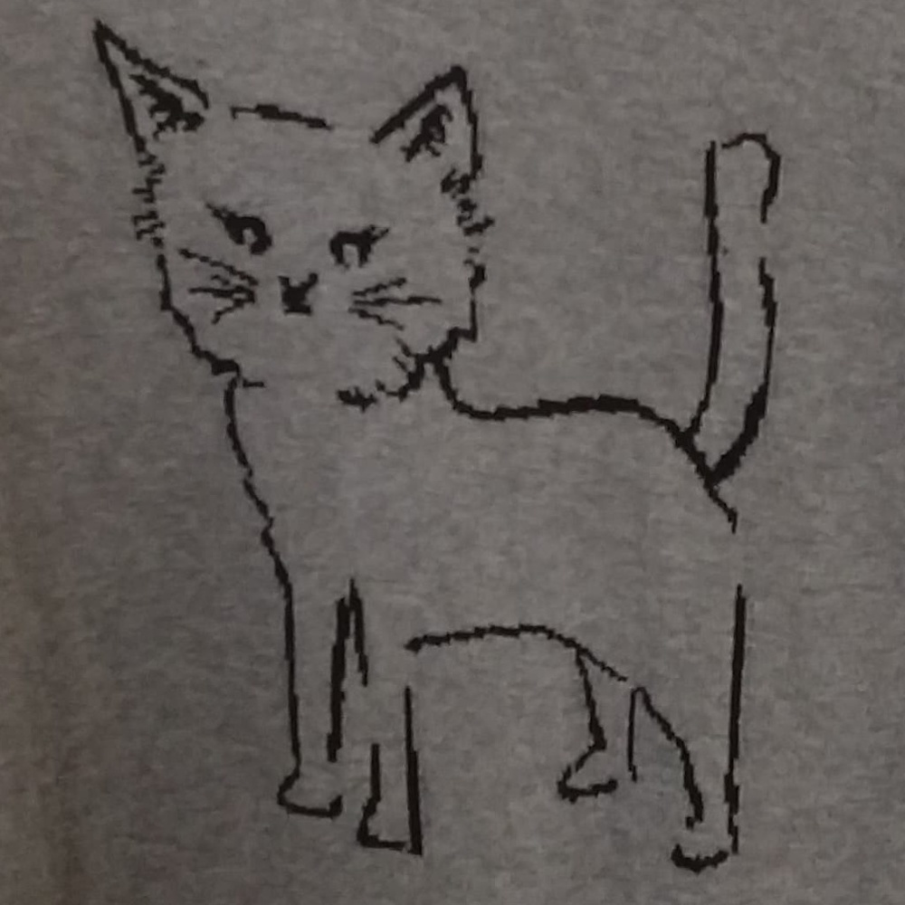📣Host Pick📣 Banana Republic Cat Sweater - Picture 4 of 5